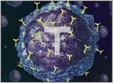 过敏性鼻炎益生菌哪个牌子好,儿童过敏性鼻炎吃益生菌能缓解