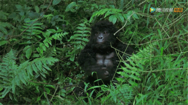 bbc有多有钱,bbc多有钱