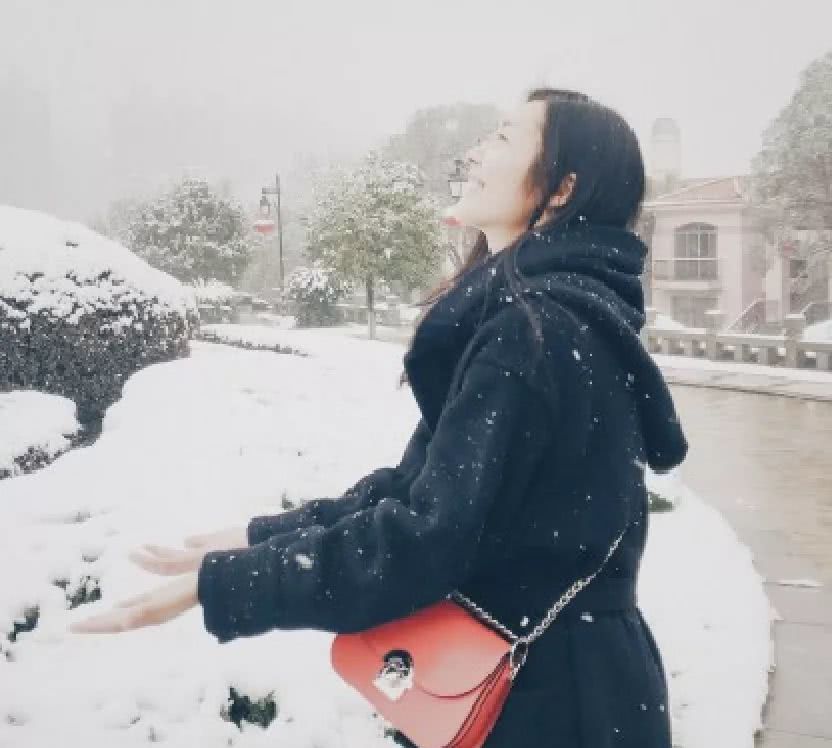 刘雯大包包推荐,刘雯同款豹纹包包