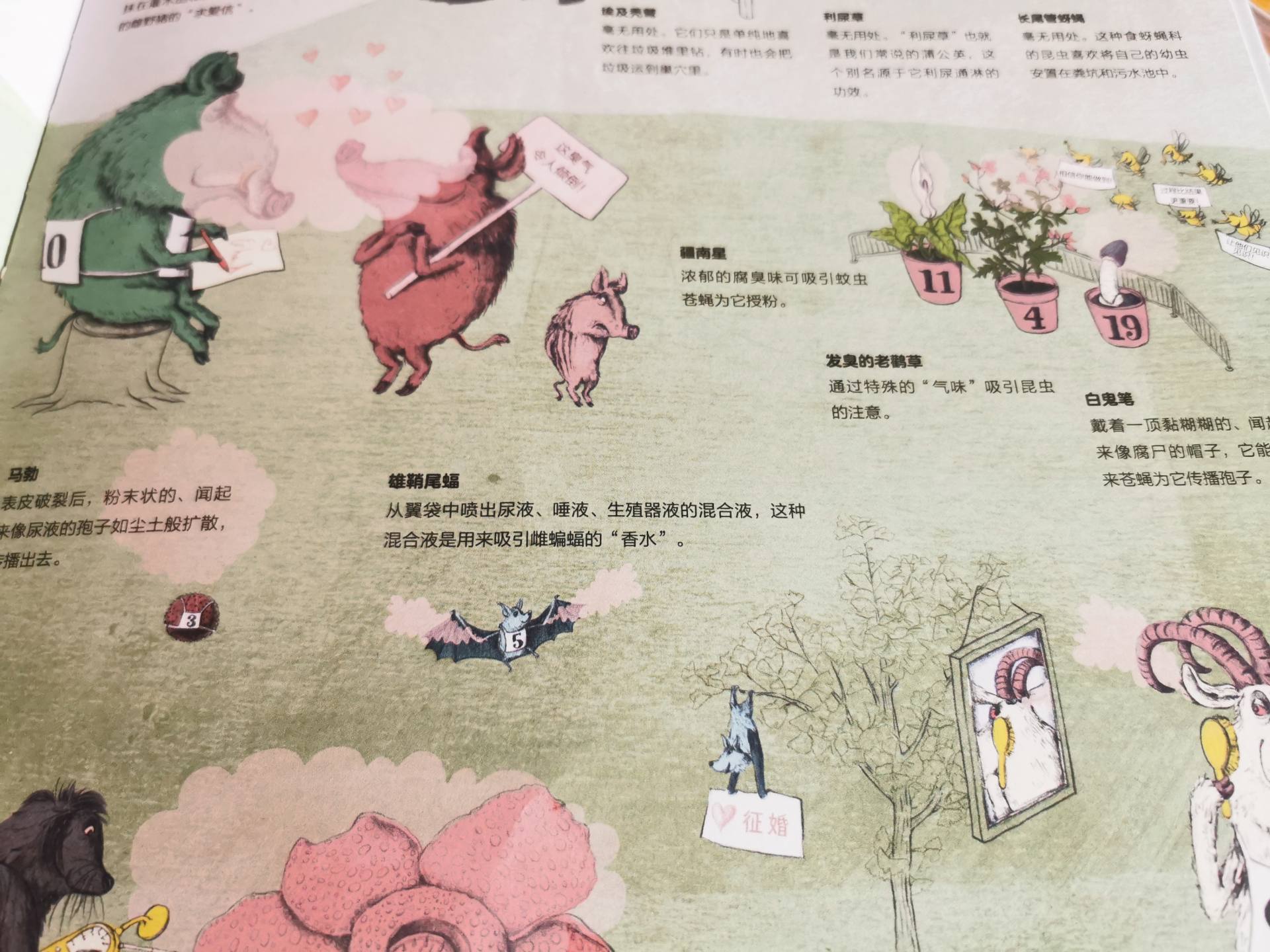 垃圾处理儿童科普,垃圾科普小课堂