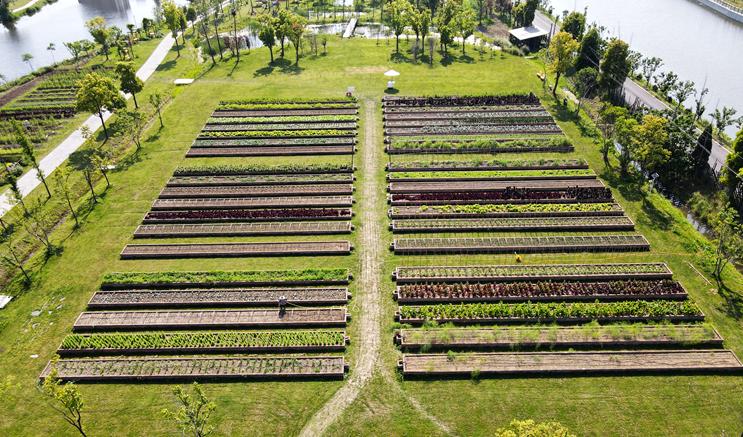 美到犯规！这个500亩的有机庄园，成三产融合教科书