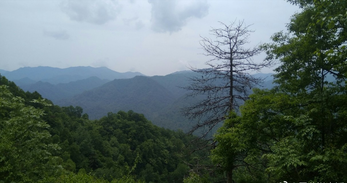 西安秦岭山下世外桃源,秦岭深处世外桃源图片