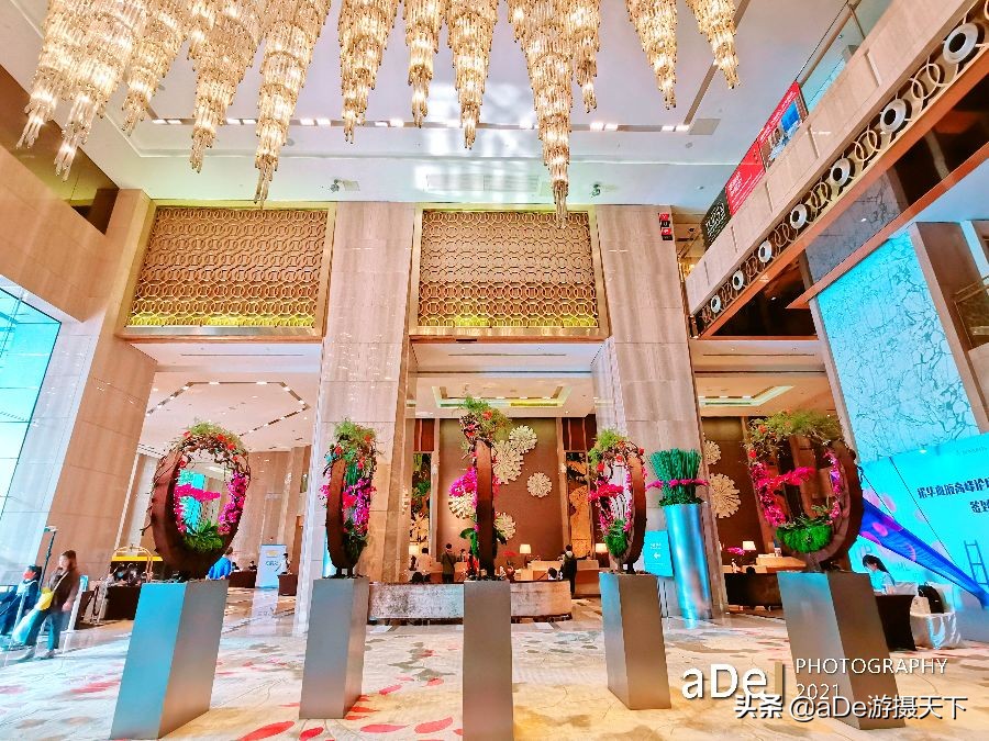 广州最值得打卡室内泳池,广州打卡无边泳池