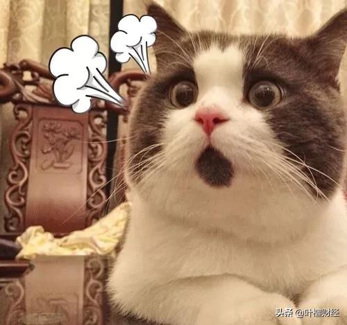 不能错过分析师深刻反思我为什么错过了这家好公司？|檀公司