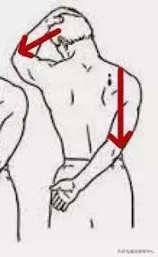 健身私教体态评估纠正,探颈矫正