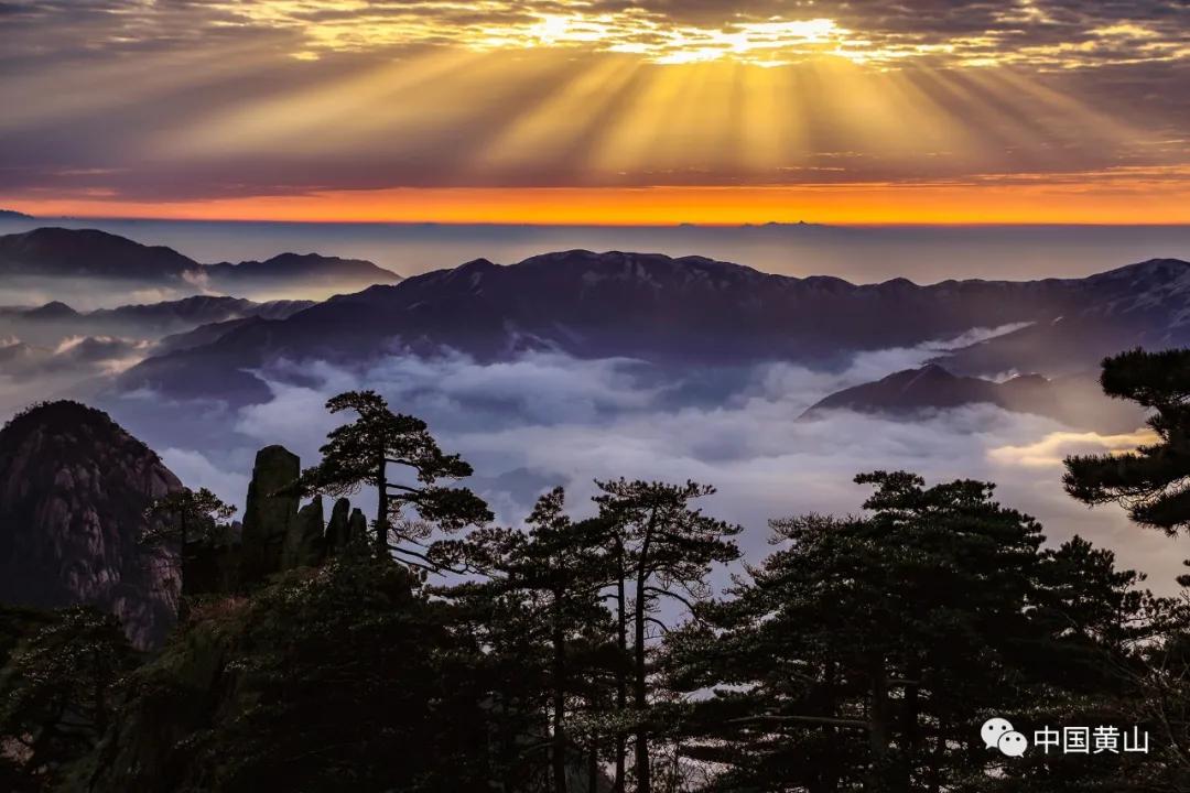 榛勫北绉嬪ぉ鎵撳崱,榛勫北绉嬪啲鎽勫奖澶ц禌