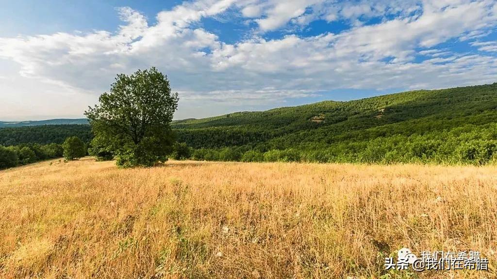 希腊海边土地价格,希腊土地多少钱一亩