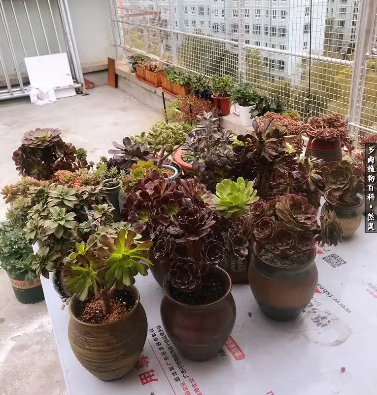 顺风不浪逆风不怂文字图片,顺风不飘逆风不怂绝境不慌