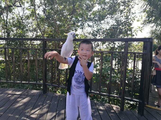 带最爱的人去吃美食,和最爱的人去哪里好玩