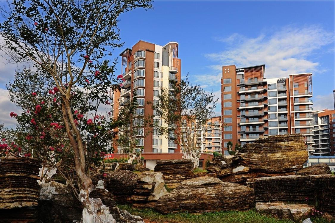 2004年深圳买地建房,在深圳买下28套房后来他怎样了