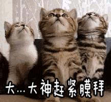 5个资源超好的网站,百度云盘都不够装,最好要悄悄的收藏