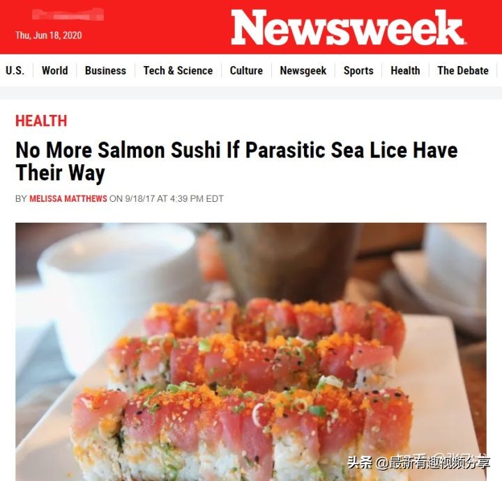 挪威三文鱼养殖环境恶劣纪录片,挪威三文鱼养殖环境恶劣新闻