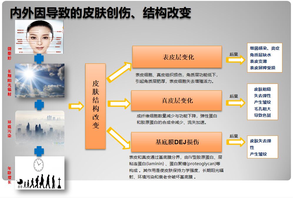 多肽水润蚕丝修护面膜,童颜美肌补水面膜