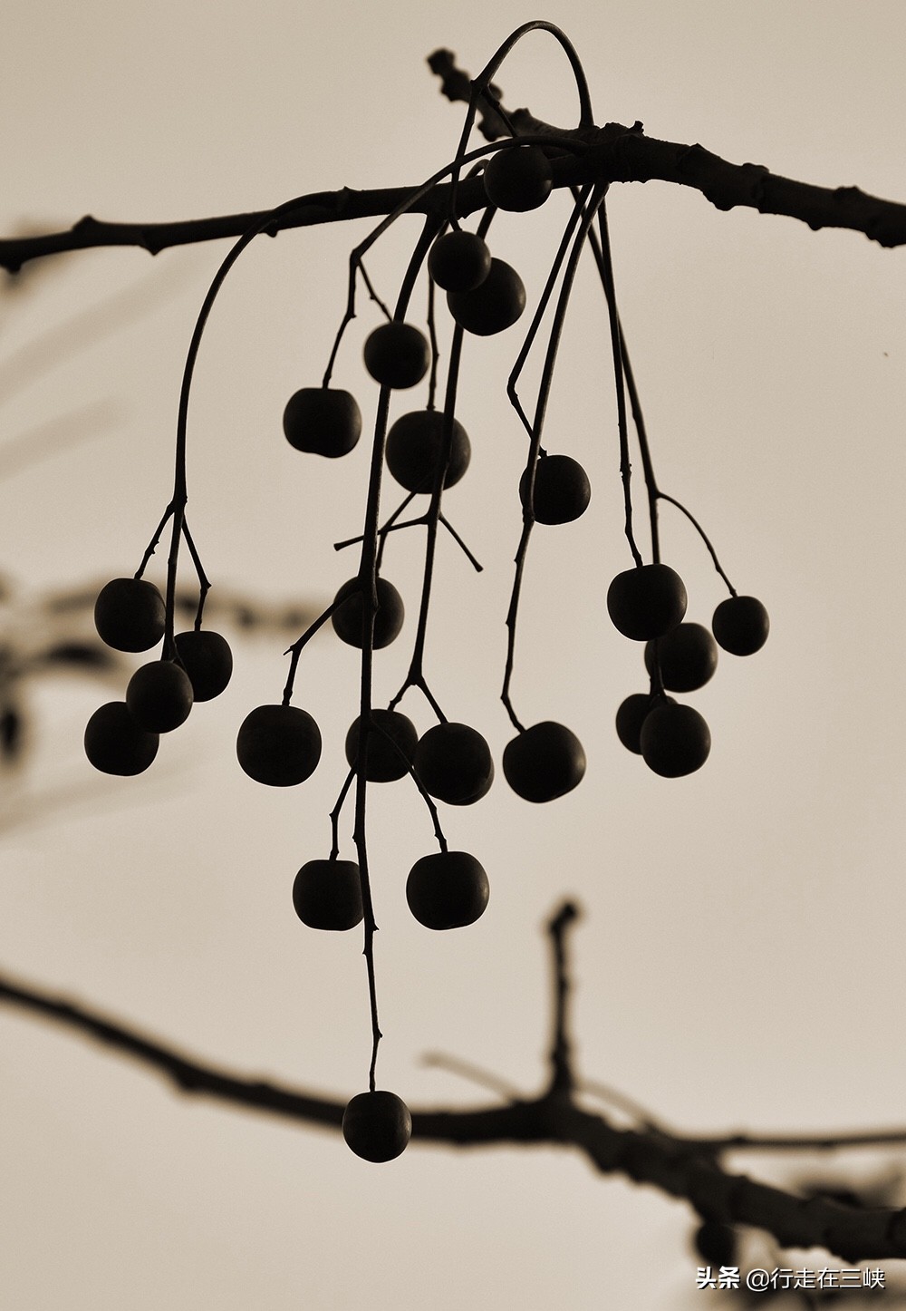 纯色摄影,纯色摄影店