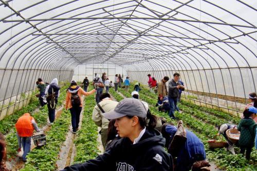 年后不想出去打工,如果返乡创业做点什么生意好