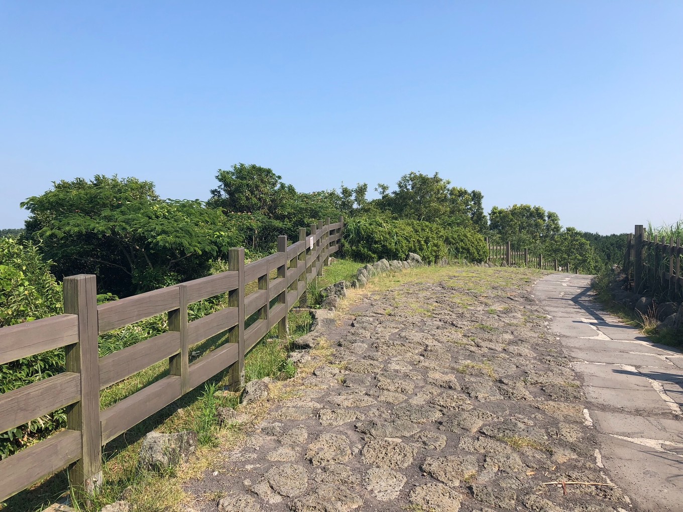 不会韩语如何去韩国玩,不会韩语怎么去韩国旅游