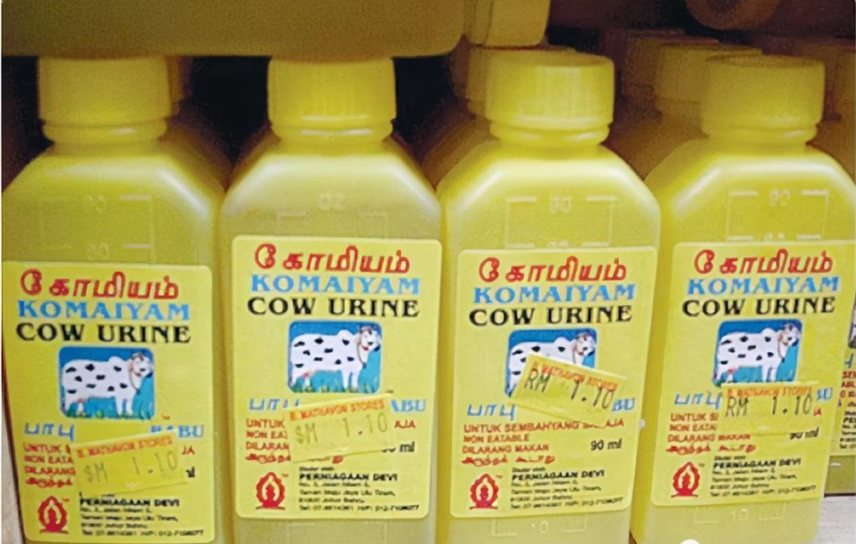 印度的牛粪饼多少钱一盒,印度的牛粪饼在中国也有卖吗