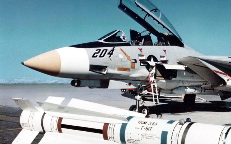 猫咪需要哪些用品,猫迷惑新技能