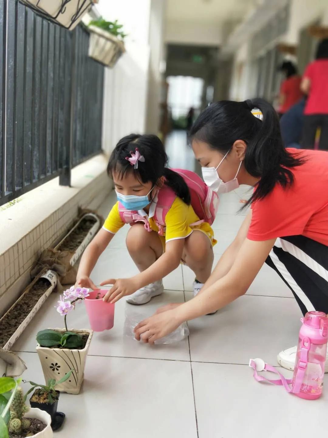 带你围观幼儿园开学第一天,幼儿园萌娃开学