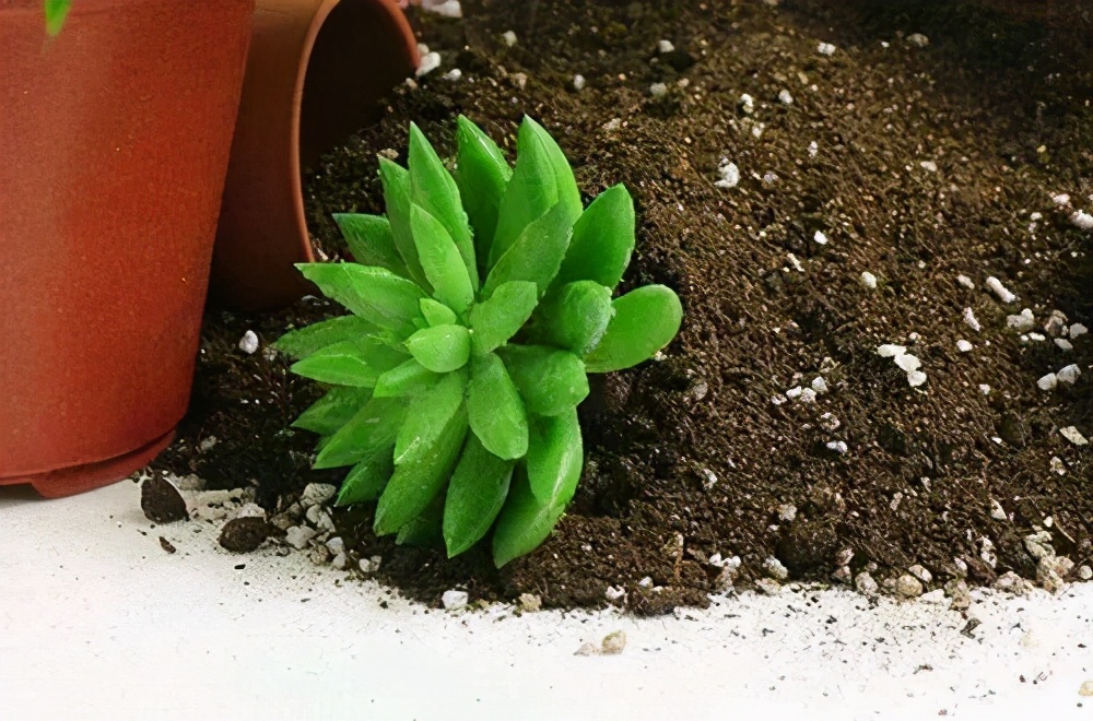 旧土翻新重新利用,如何改造旧土