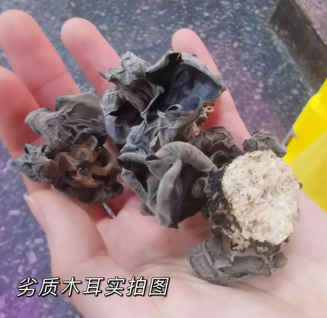 为什么市场上的木耳那么便宜,现在的木耳价格是什么样