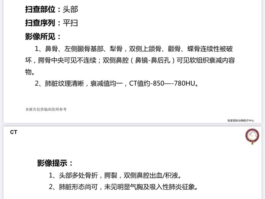 猫咪意外受到重伤怎么治疗,猫咪被车撞了怎么急救