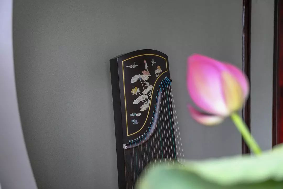 袁莎古筝抹托指法教学,袁莎古筝入门指法自学教程