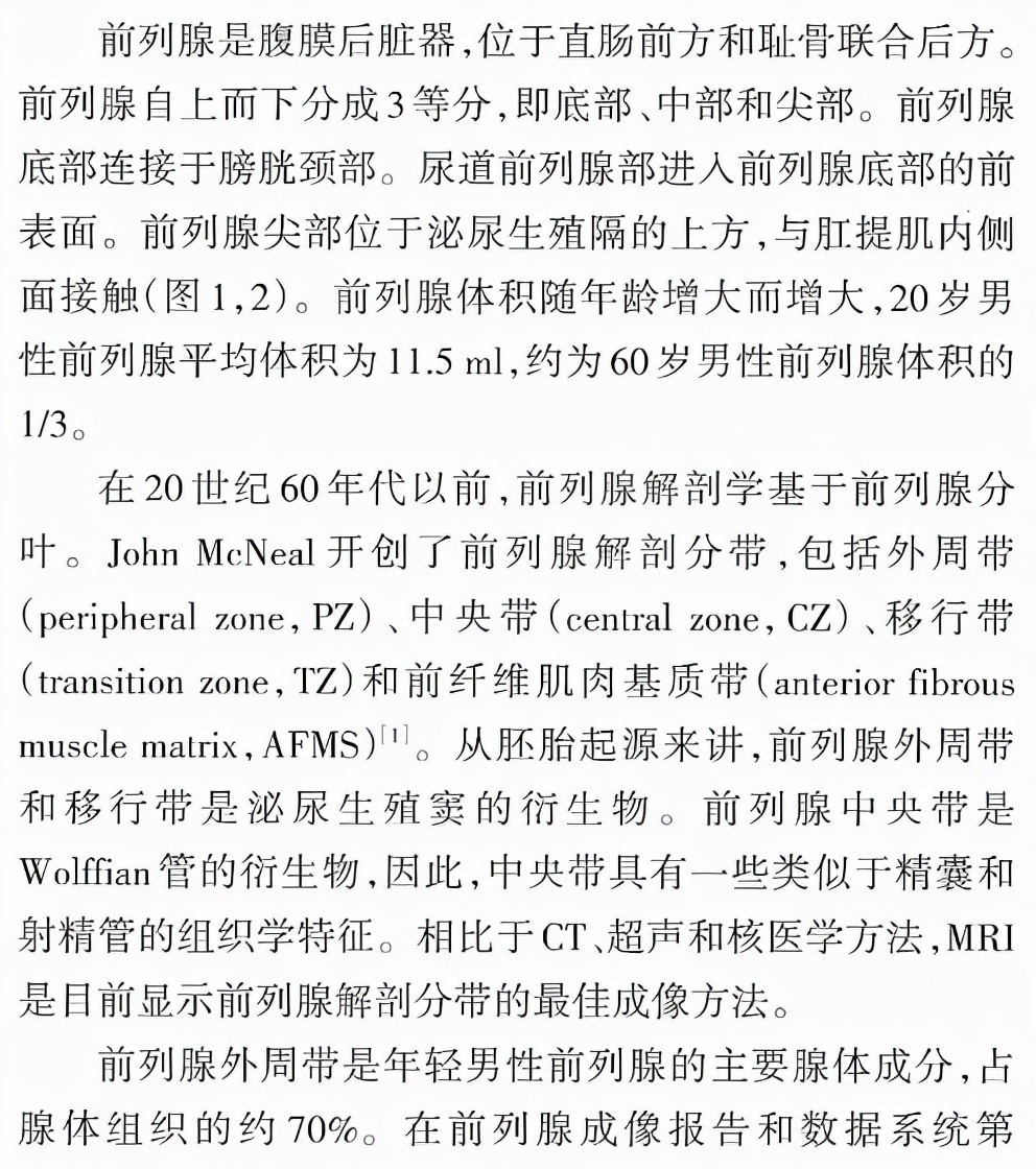 鍓嶅垪鑵簃ri褰卞儚瑙e墫,鍓嶅垪鑵簃ri瑙e墫