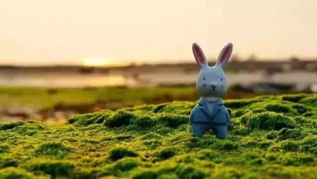 你的微信名暴露了你的层次很准,你的微信名暴露你的阶层