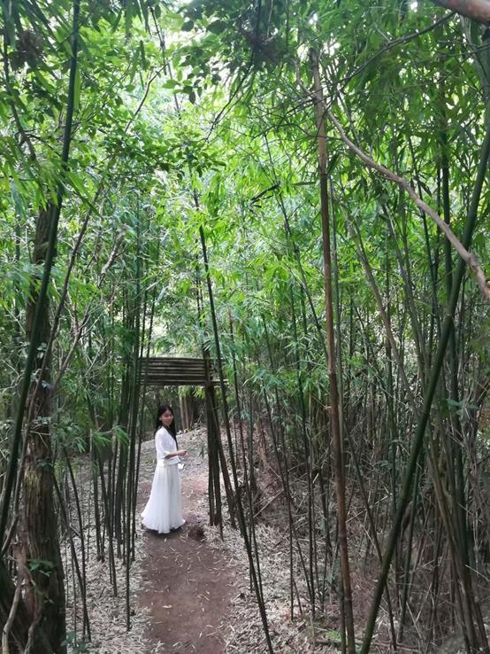 江湖路的风景视频,江湖路上走走停停