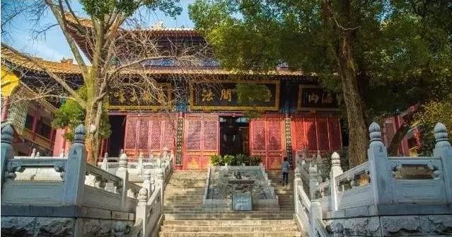 疫情过后再春游,疫情过后春游踏青