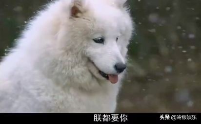 曾经对我造成过精神创伤,受过精神创伤对女人不感兴趣