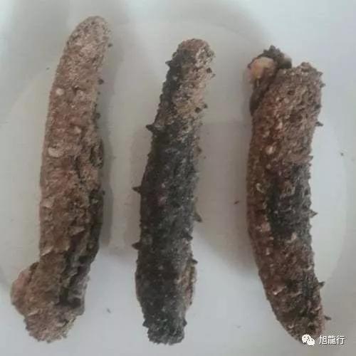 秋风起秋膘贴,秋风起贴秋膘喝羊汤