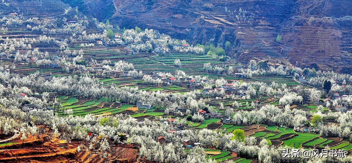 成都出发林芝旅游攻略图,金川梨花节自驾游五日线路图