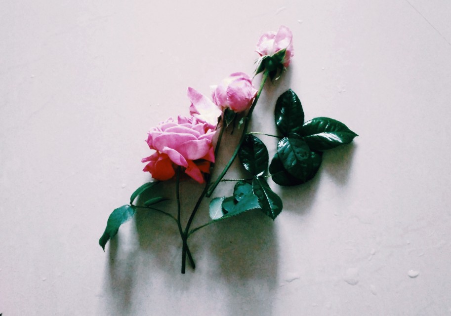 有关感恩感动的中考满分作文,成长感悟类高考满分作文