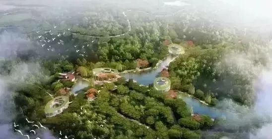 万科公园里6栋115平01户型,万科公园里一期106平户型图