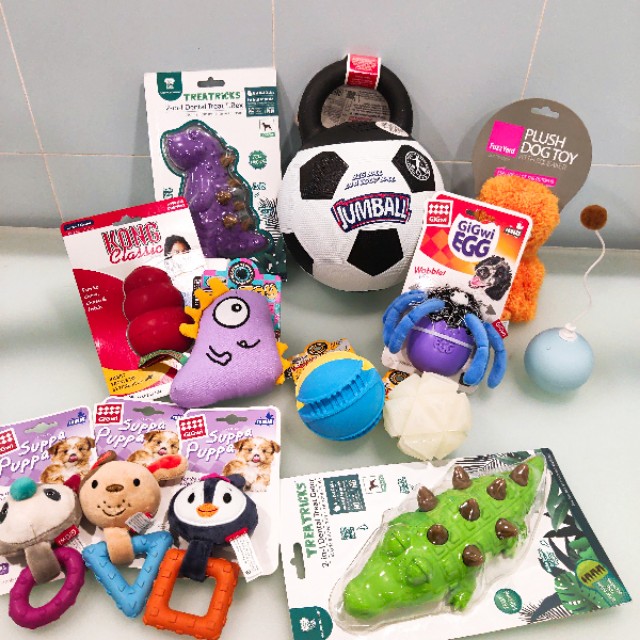 养狗前需要准备些什么！灵茉文章