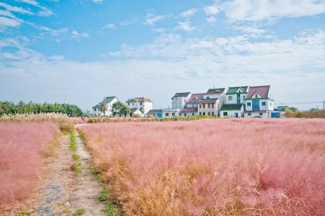 崇拜老爸,女儿崇拜爸爸和厌烦爸爸原因