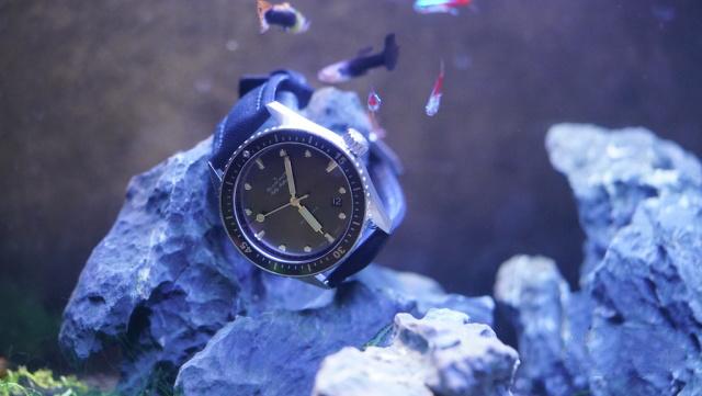 劳力士潜水表宝珀 (劳力士潜航者和宝珀五十噚哪个好)