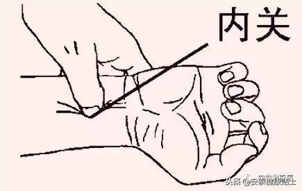 皮肤细嫩按什么穴,每天按肚子穴位能瘦吗