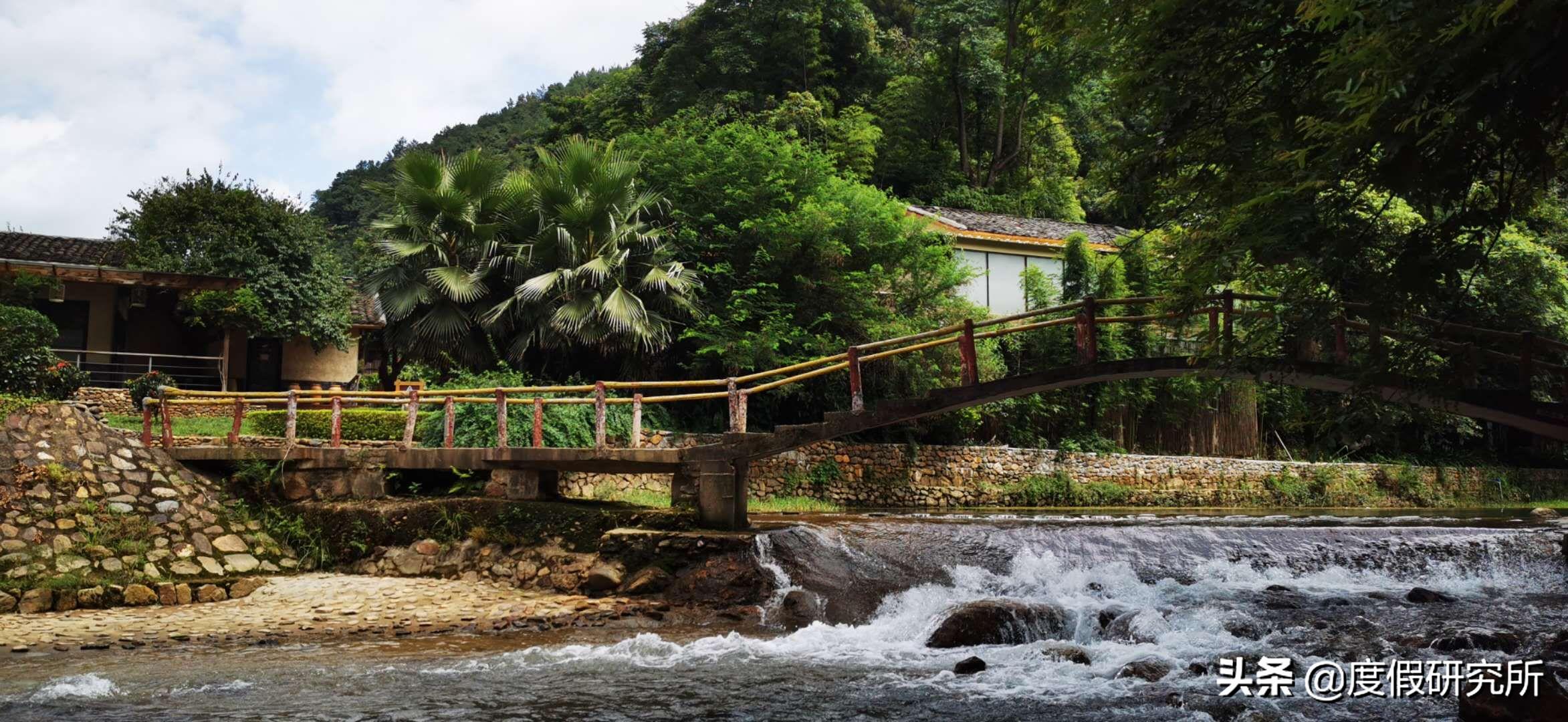 森林和山水,森林公园和森林湖畔