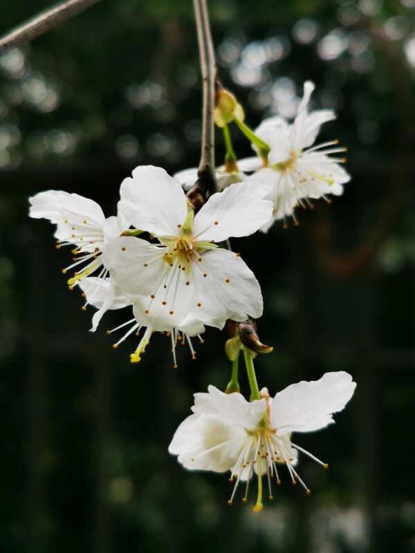 手拍世界手机摄影平台,手拍世界摄影平台