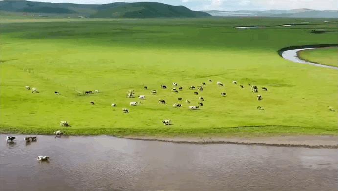 暑假内蒙古旅游攻略亲子,暑假亲子游玩内蒙古5天4夜