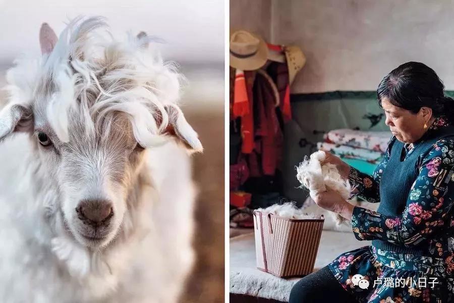 maxmara厚实又经典好看,maxmara凭什么惊艳了