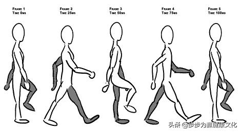 走路步伐太小？当心走出萝卜腿