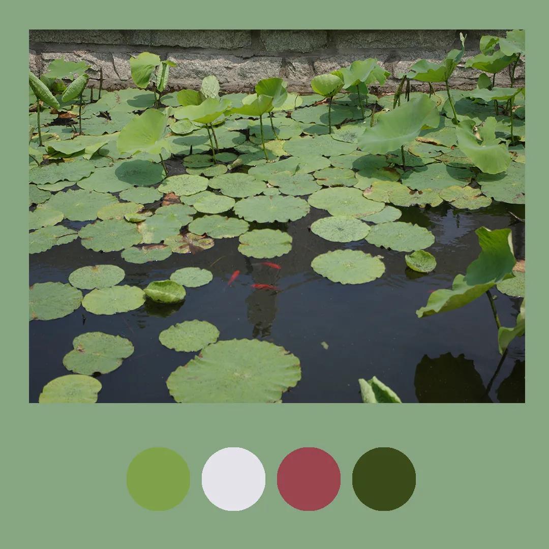 色彩里的构图,色彩中的光感