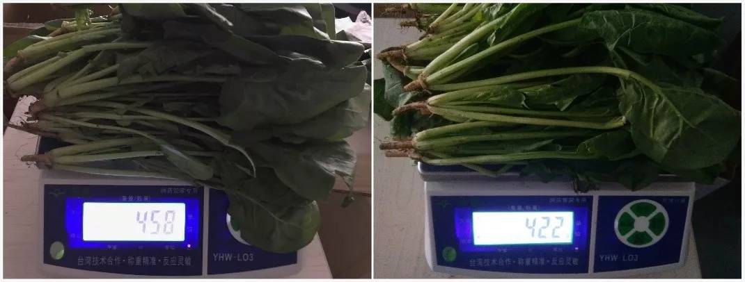 美菱506超薄嵌入式冰箱冻鲜生测评,美菱m鲜生冰箱评测视频