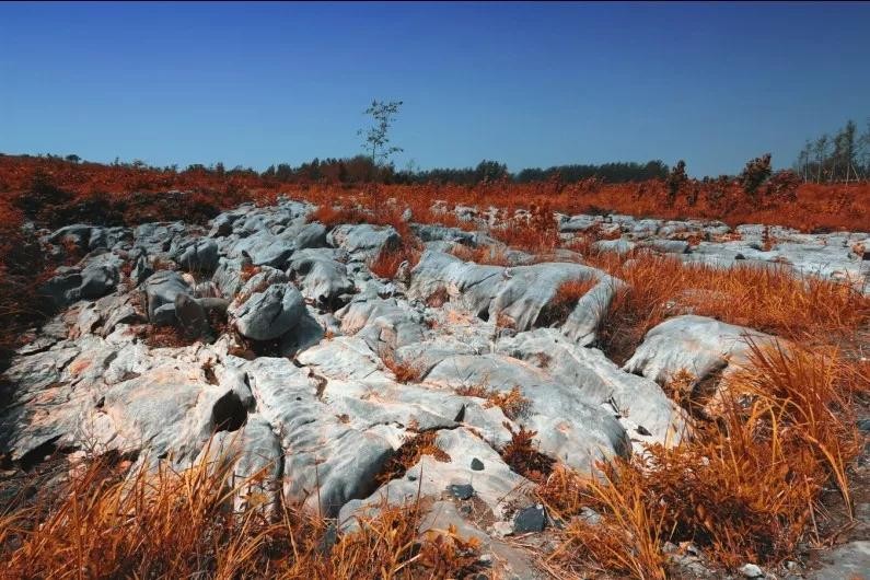 灵璧石最出名的镇,灵璧石产地在什么位置