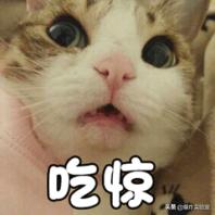 618年中好物大促销,618大促销狂欢惊喜