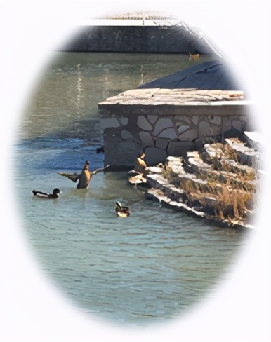 雅韵集（其二）